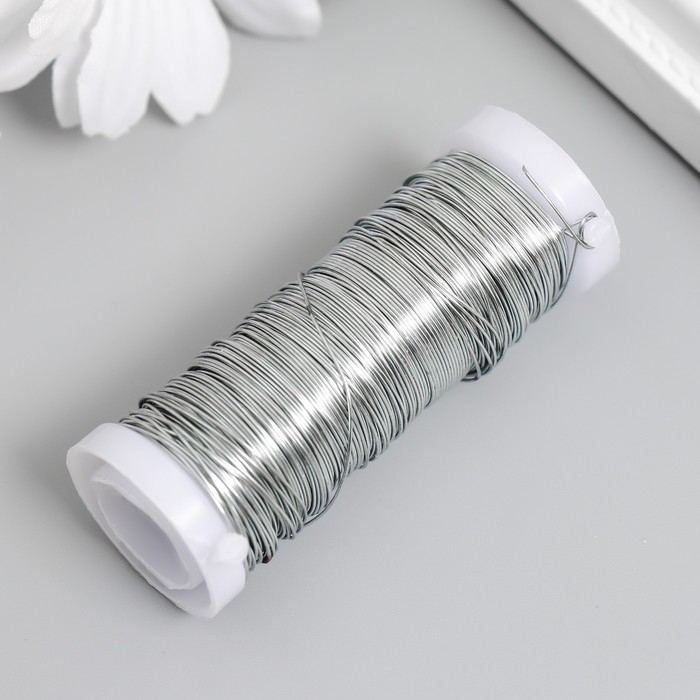 Проволока для творчества Проволока для творчества "Серебро" 30 метров, толщина 0,3 мм 5,5х2,2х2,2 см