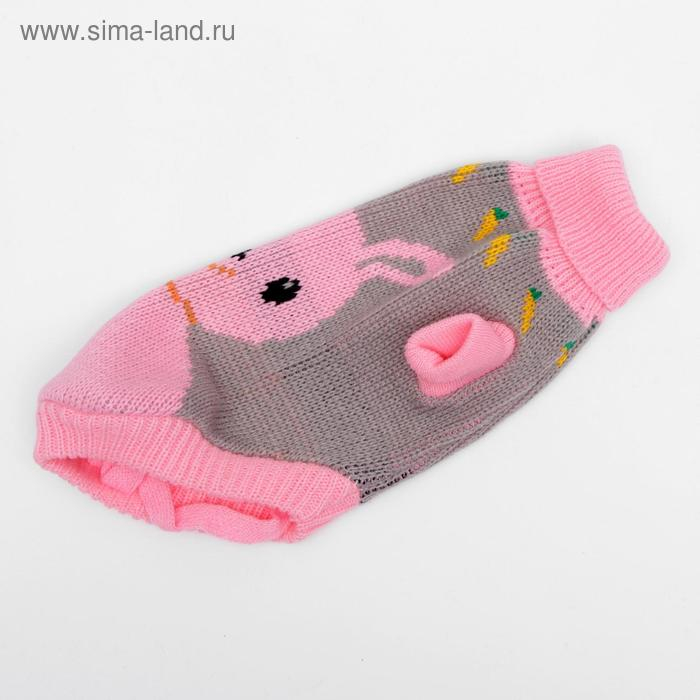 Свитер, размер 10 (ДС 30-45, ОШ 16-31, ОГ 30-45 см), микс расцветок Свитер, размер 10 (ДС 30-45, ОШ 16-31, ОГ 30-45 см), микс расцветок