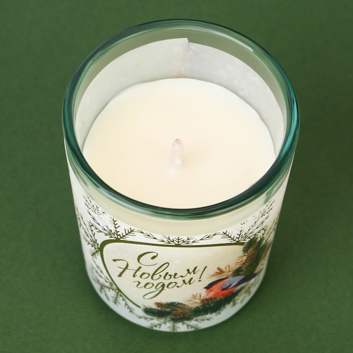 Новогодняя свеча в стакане «Новый год: С Новым годом!», аромат шоколад Новогодняя свеча в стакане «Новый год: С Новым годом!», аромат шоколад