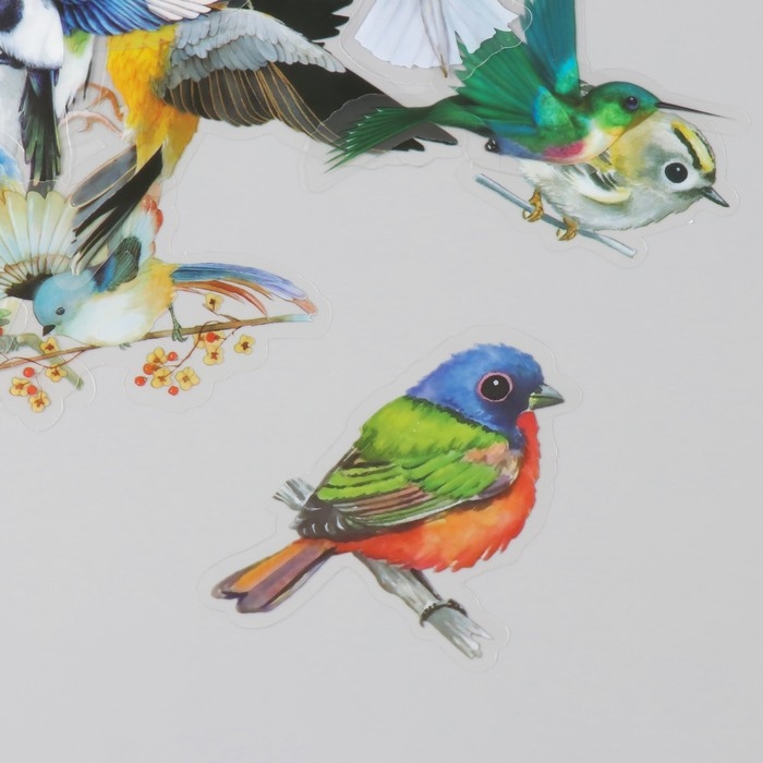 Наклейки для творчества пластик PVC Наклейки для творчества пластик PVC "Красочные птицы" набор 40 шт 9х10.5 см