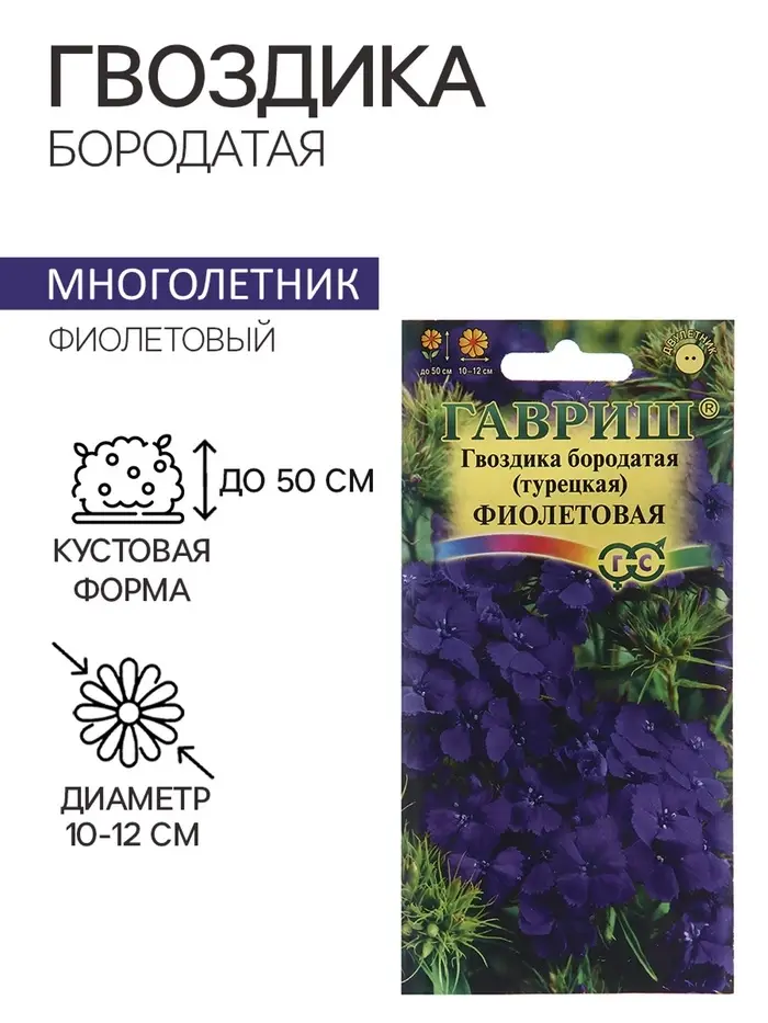 Семена гвоздика «Фиолетовая», 0.1 г Семена гвоздика «Фиолетовая», 0.1 г