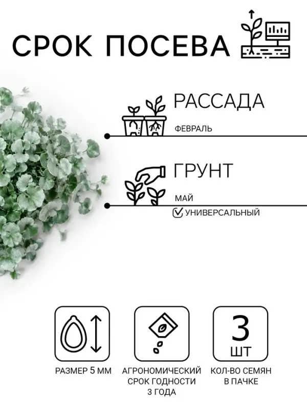 Семена цветов Дихондра "Серебристый водопад", ц/п, 3 шт
