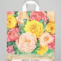 Пакет "Пунш", полиэтиленовый с петлевой ручкой, 38х42 см, 40 мкм