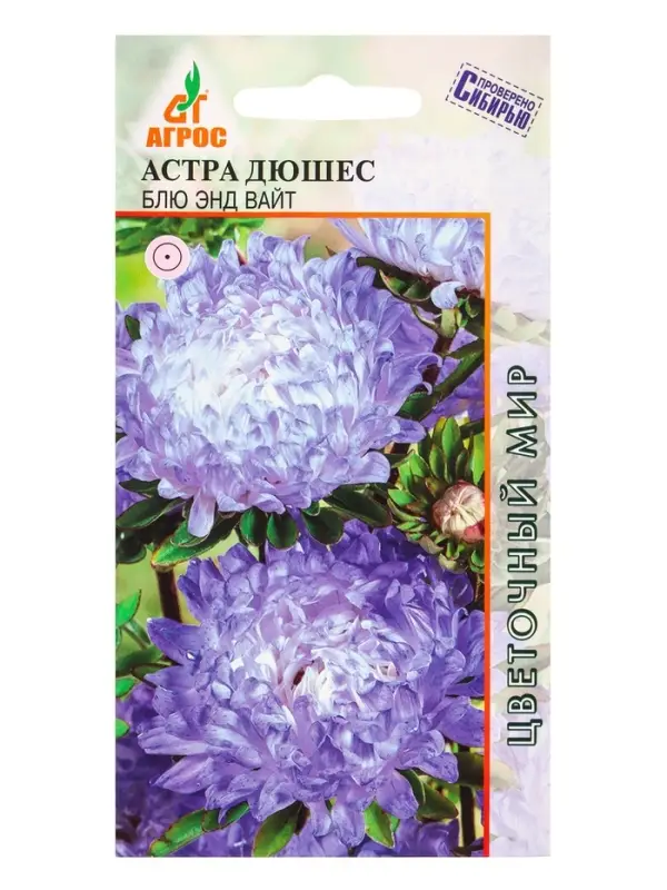 Семена Астра Дюшес Блю энд Вайт 0,3 г Семена Астра Дюшес Блю энд Вайт 0,3 г