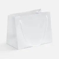 Пакет &laquo;Крафт&raquo;, XS, ver.2, белый