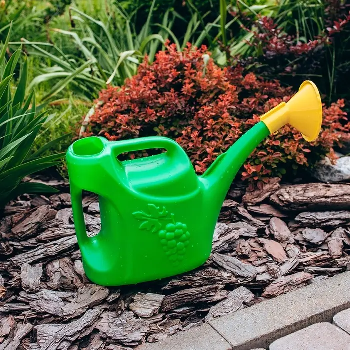 Лейка, 5 л, с рассеивателем, носик d=30 мм, цвет МИКС