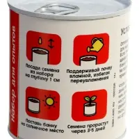 ЭВРИКИ Набор для опытов "Мой мини-сад", арбуз