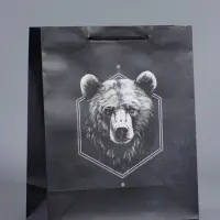 Пакет подарочный "Мужской выбор" ламинированный 26 х 12 х 32 см