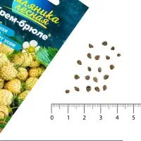 Семена Земляника &laquo;Крем-брюле&raquo;, жёлтая, ремонтантная, 0.02 г, &laquo;Семена Алтая&raquo;