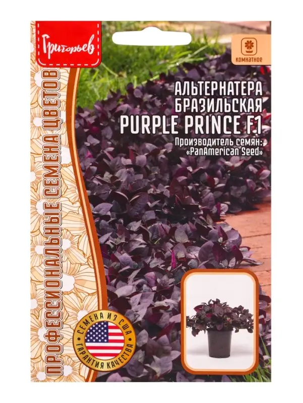 Семена цветов Альтернатера Purple Prince F1 бразильская 3 шт. 12.29 г