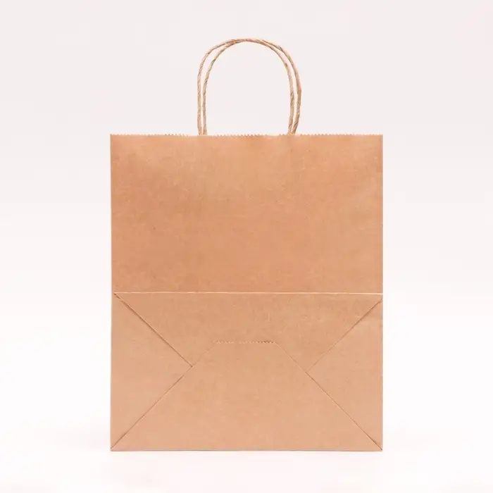 Пакет бумажный подарочный новогодний крафт, «Новый год и веточка!», красный 24×14×28 см