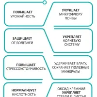 Диатомит &laquo;Рецепты Дедушки Никиты&raquo; сушеный, фр 2-4, 3 л