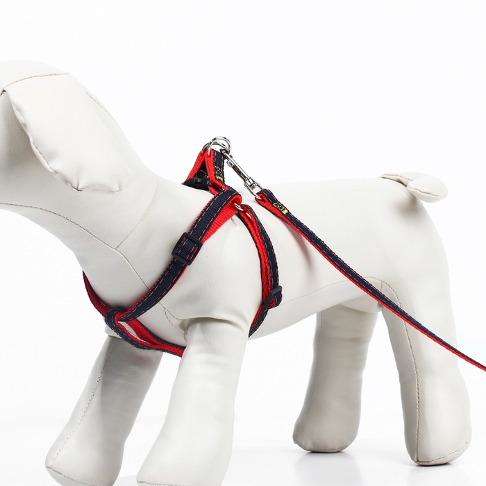 Комплект Комплект "Джинс", ширина 1 см, поводок 120 см, шлейка 25-40 см, красный