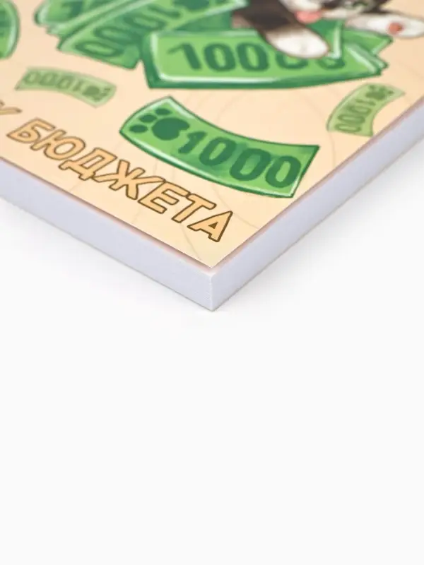 Блокнот для планирования финансов А6, 68 л  Блокнот для планирования финансов А6, 68 л "Котик"