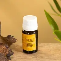 Аромамасло "Vacation at Sea" морской 15 мл