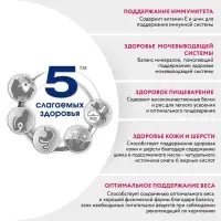 Влажный корм Perfect Fit для кошек, говядина, пауч,  75 г
