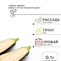 Семена Баклажан &laquo;Эфиоп&raquo;, 0.1 г, &laquo;Семена Алтая&raquo;