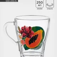 Кружка &laquo;Тропические фрукты&raquo;, 250 мл, стекло, прозрачная, рисунок МИКС