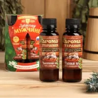 Новогодний набор эфирных масел &laquo;Лучшему мужчине&raquo;, мята, пихта, лимон, можжевельник, 2 шт. по 100 мл