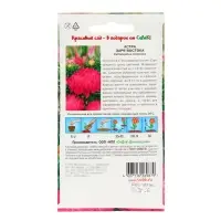 Семена цветов Астра "Заря Востока", Евро, 0,2 г