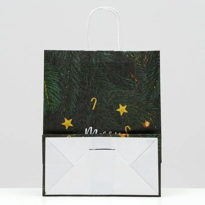 Пакет новогодний подарочный крафт «Снегопад», 22×12×27 см Пакет новогодний подарочный крафт «Снегопад», 22×12×27 см