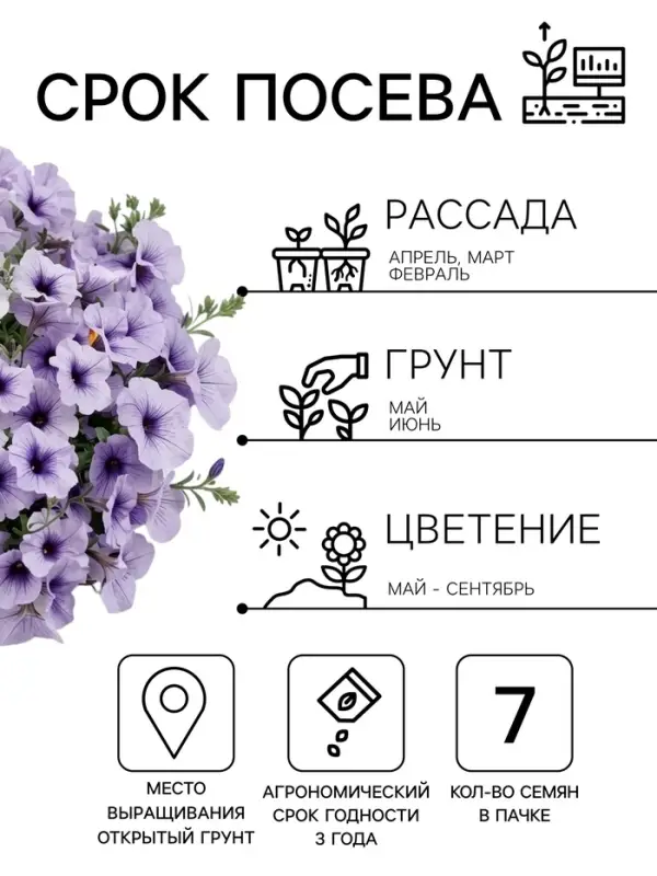 Семена Цветов Петуния &laquo;Мамбо&raquo; F1, синяя с прожилками, пробирка, 7 шт.