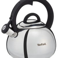 Чайник Kettle ss induction N4180317, для всех видов плит