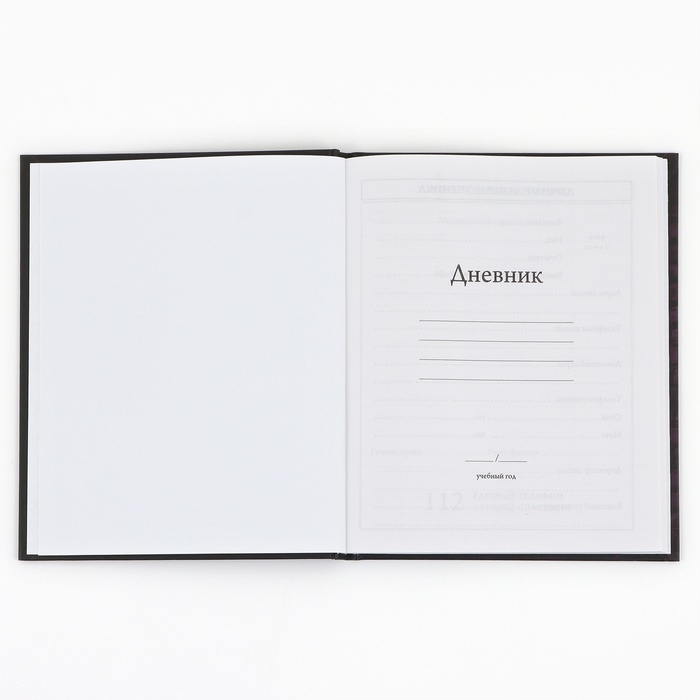Дневник школьный 1-4 класса, в твердой обложке, 48 л «Космонавт Неон» Дневник школьный 1-4 класса, в твердой обложке, 48 л «Космонавт Неон»