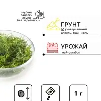 Набор семян Укроп &laquo;Обильнолиственный&raquo;, 2 упаковки