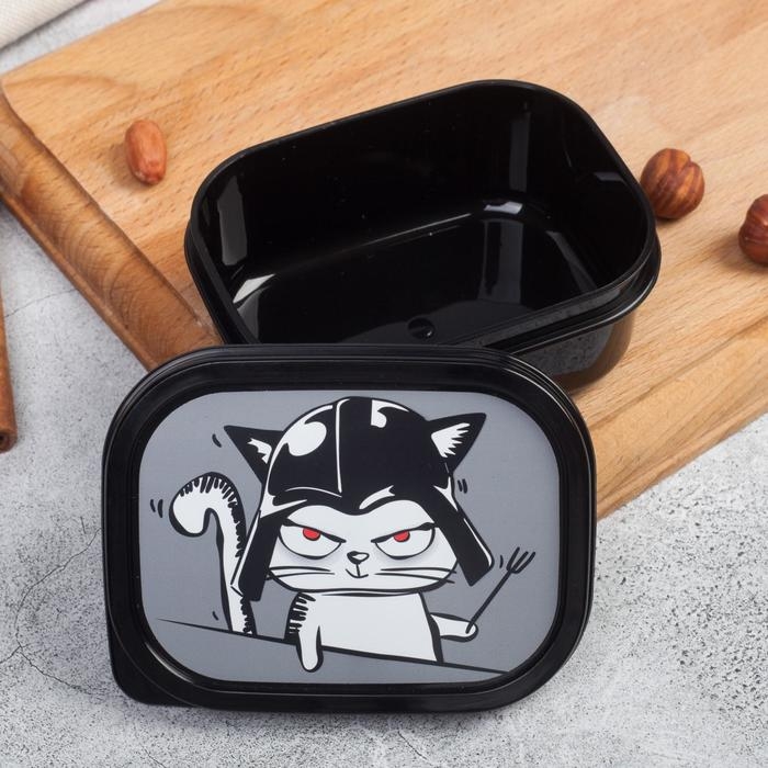 Ланч-бокс прямоугольный FoodVibes «Переходи на тёмную сторону», 150 мл Ланч-бокс прямоугольный FoodVibes «Переходи на тёмную сторону», 150 мл