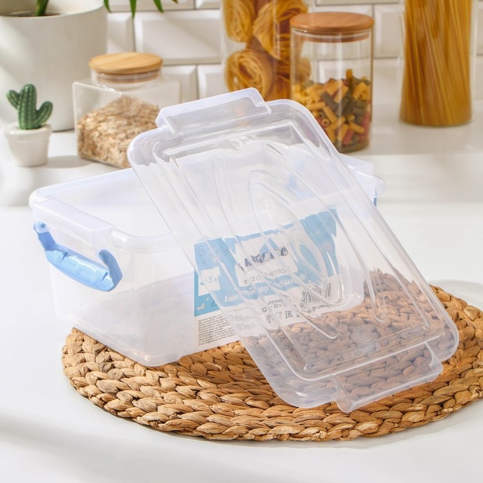 Контейнер пищевой RICCO, 4,5 л, 32×20×12 см, прямоугольный, цвет прозрачный, ручки голубые