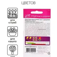 Семена цветов Пеларгония &laquo;Пинто Скарлет Стар&raquo;, F1, 4 шт., &laquo;Агроуспех&raquo;