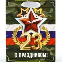 Пакет подарочный ламинированный «23 февраля», S 12 х 15 х 5.5 см