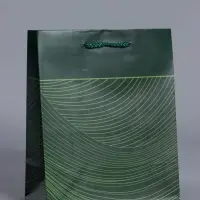 Пакет подарочный "Сдержанный шарм" ламинированный 18 х 22,3 х 10 см