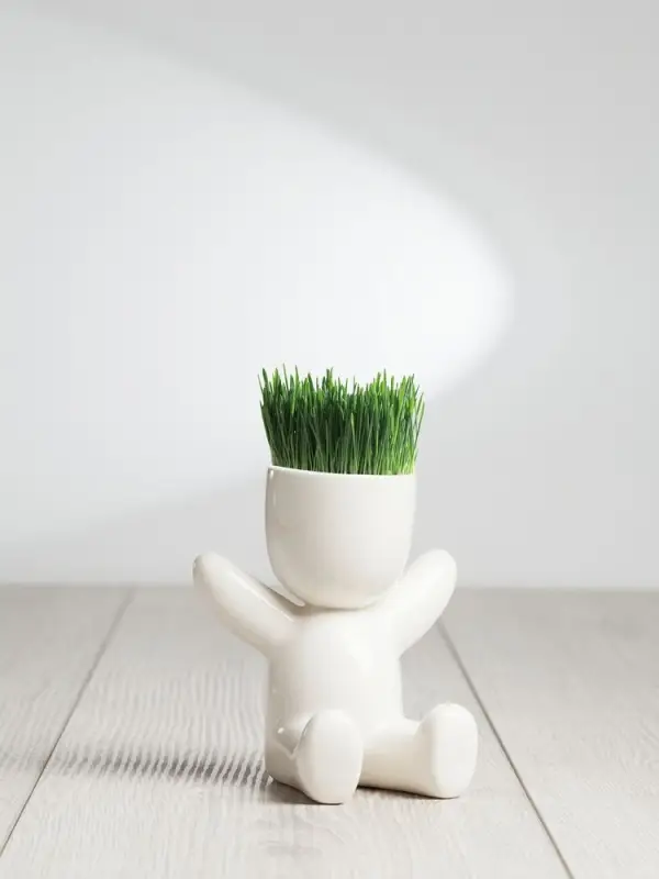 Набор для выращивания Funky Kid Набор для выращивания Funky Kid