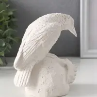 Фигурка гипс &laquo;Ворон на черепе&raquo;, 12&times;12&times;8 см