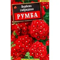 Семена цветов Вербена Румба , Ц/П,0,05 г