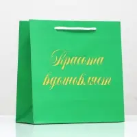 Пакет подарочный «Красота вдохновляет», зелёный, с тиснением, 22.5×23×10 см