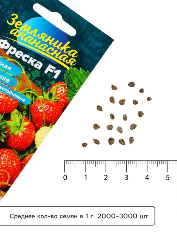 Семена Земляника &laquo;Фреска&raquo;, ремонтантная, 5 шт., &laquo;Семена Алтая&raquo;