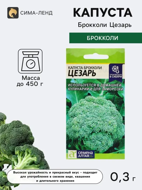 Семена Капуста брокколи &laquo;Цезарь&raquo;, 0.3 г, &laquo;Семена Алтая&raquo;