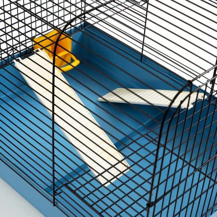 Клетка для грызунов Клетка для грызунов "Сеня 2-1", 50 x 37 x 37 см, микс цветов