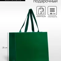Пакет подарочный ламинированный горизонтальный &laquo;Изумрудный&raquo;, 32&times;25&times;11 см