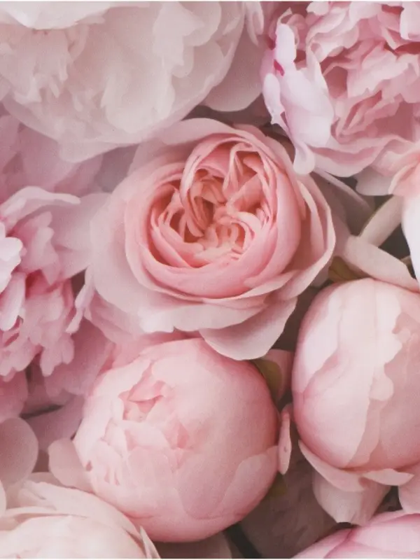 Бумага упаковочная, глянцевая &laquo;Весенний букет пионов&raquo;, 70&times;50 см