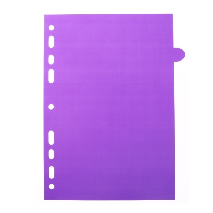 Разделитель листов A5 (210 x 165 мм) цветовой, 12 листов, Разделитель листов A5 (210 x 165 мм) цветовой, 12 листов, "deVENTE. Marandi" полипропилен 140 мкм, индивидуальная упаковка