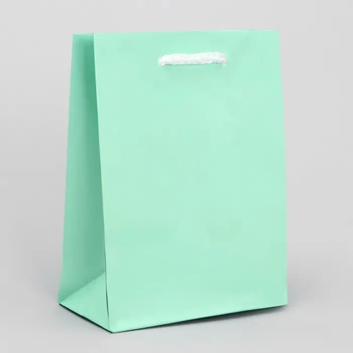 Пакет подарочный ламинированный, упаковка, &laquo;Зелёный&raquo;, S 12 х 15 х 5.5 см