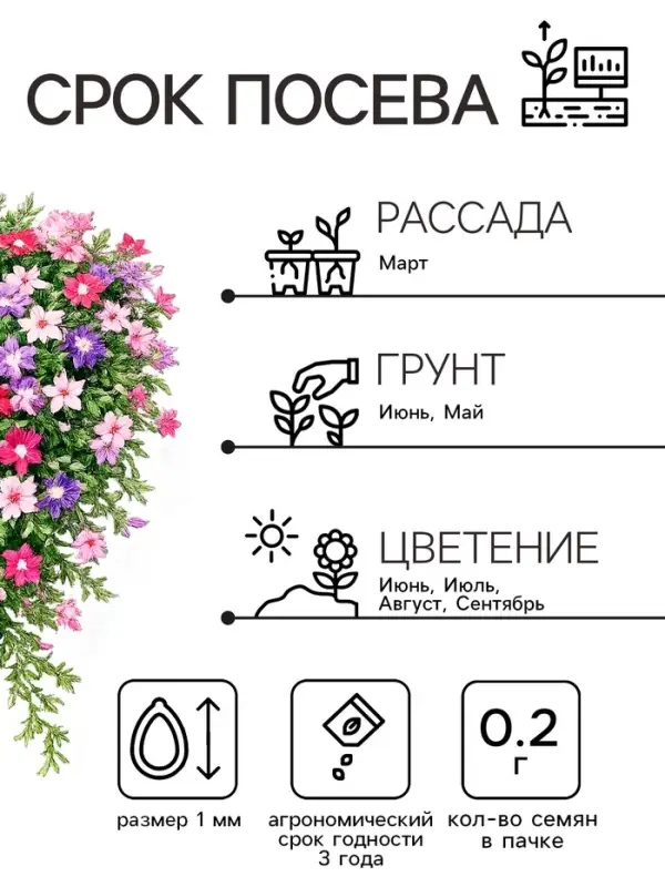 Семена цветов Флокс &laquo;Звездный дождь&raquo;, смесь окрасок, 0.2 г, &laquo;Рецепты дедушки Никиты&raquo;