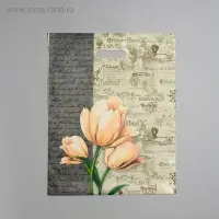 Пакет "Мемуары", полиэтиленовый, с вырубной ручкой, 38 х 47 см, 60 мкм Пакет "Мемуары", полиэтиленовый, с вырубной ручкой, 38 х 47 см, 60 мкм