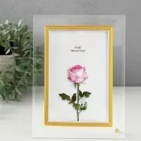 Фоторамка стекло 10х15 см "Золотой кант" вертикаль 15,5х20,5 см