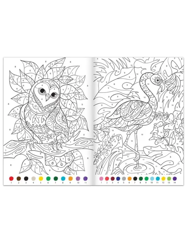 Раскраска по номерам &laquo;Удивительный мир&raquo;, 16 стр., формат А4