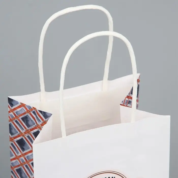 Пакет подарочный крафтовый, упаковка, «Настоящему мужчине», 12 х 21 х 9 см Пакет подарочный крафтовый, упаковка, «Настоящему мужчине», 12 х 21 х 9 см